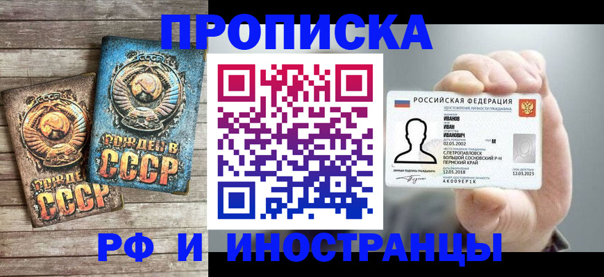 где прописаться в Ельне